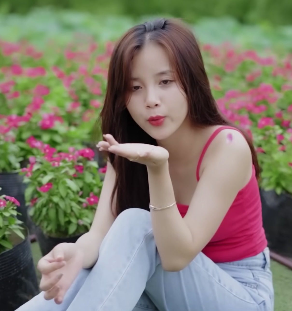 lĩnh vực hoạt động